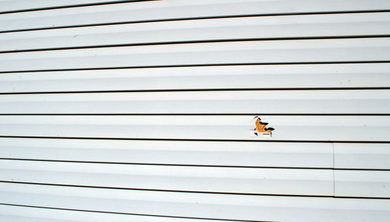 Patch Repair of Vinyl Siding