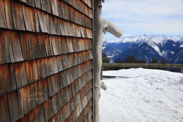 Cost of Cedar Siding Repair in Everett