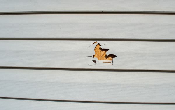 Cost of Siding Hole Patching in Everett